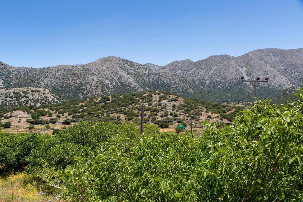 Villa Skyphos Ammoudari Luaran gambar